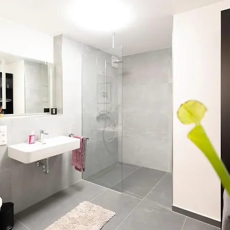 Stilvolles Neubau-apartment Mit Kueche, Netflix & Top-lage Würselen
